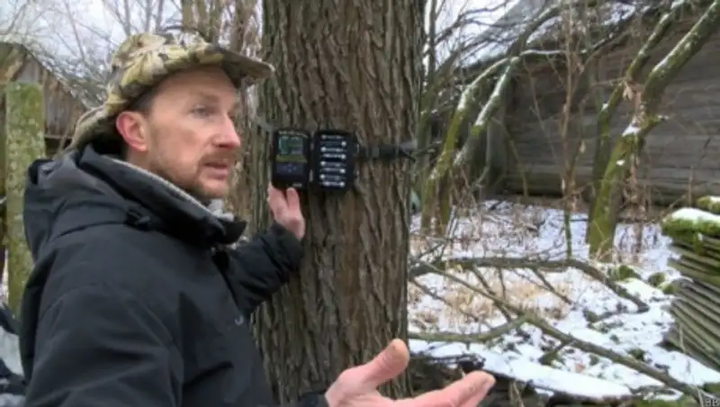 Как дикая природа возвращается в Чернобыльскую зону