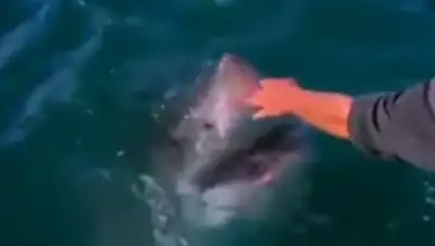 Zakon.kz, фото - Новости Zakon.kz от 25.11.2014 23:24