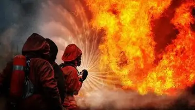 VistaNews.ru, фото - Новости Zakon.kz от 05.02.2019 10:47