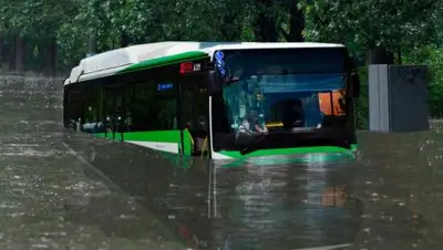 Колеса, фото - Новости Zakon.kz от 20.02.2019 16:04