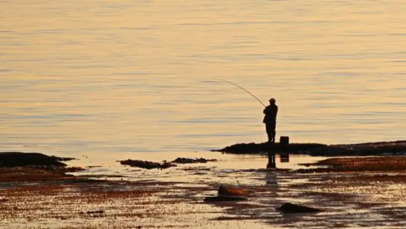 Полицейские отыскали рыбака, три дня блуждавшего по лесу