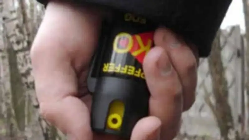 В Алматы полиция устанавливает учеников, распыливших перцовый баллончик в школе