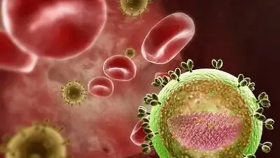 Zakon.kz, фото - Новости Zakon.kz от 29.05.2015 20:58