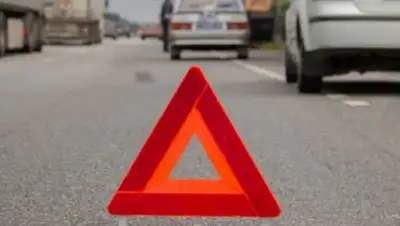 Zakon.kz, фото - Новости Zakon.kz от 31.08.2017 11:06