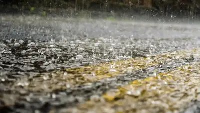 publicdomainpictures.net, фото - Новости Zakon.kz от 03.06.2020 12:22