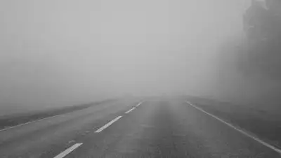 kp.kz, фото - Новости Zakon.kz от 06.12.2019 17:33