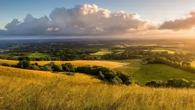 Zakon.kz, фото - Новости Zakon.kz от 30.08.2017 06:33
