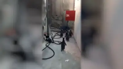 Zakon.kz, фото - Новости Zakon.kz от 12.11.2015 23:17