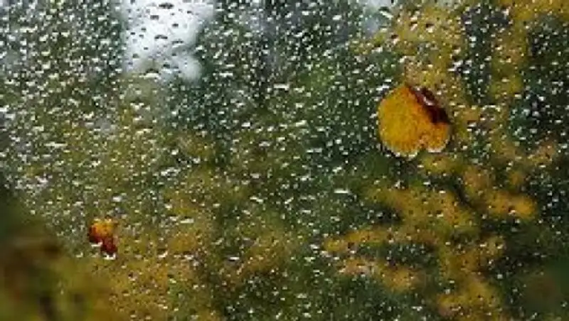 Дожди с грозами сохраняются на большей части территории РК