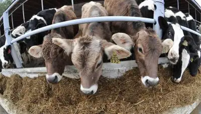 zakon.kz/Золотухин Максим, фото - Новости Zakon.kz от 05.08.2021 22:59