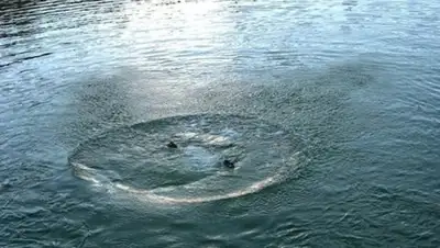 Zakon.kz, фото - Новости Zakon.kz от 27.04.2017 17:25