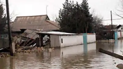 Zakon.kz, фото - Новости Zakon.kz от 18.04.2016 23:54