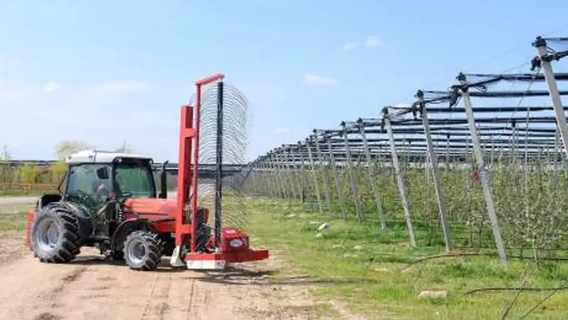 92,7 млн долларов составила сумма экспорта агропромышленной продукции Жетысу