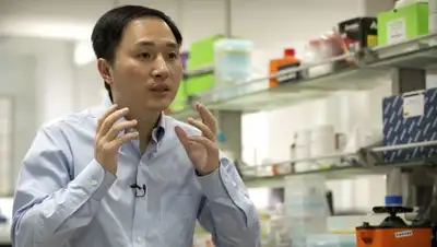 itc.ua, фото - Новости Zakon.kz от 04.12.2018 18:09