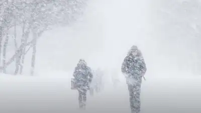 pixabay.com, фото - Новости Zakon.kz от 27.01.2020 14:58