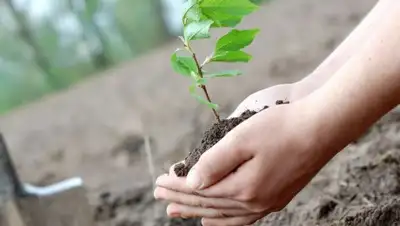 deposiphotos.com, фото - Новости Zakon.kz от 02.09.2020 10:42