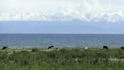 Zakon.kz, фото - Новости Zakon.kz от 25.08.2014 20:36