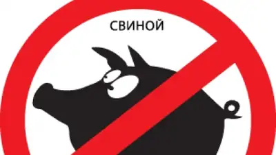 Zakon.kz, фото - Новости Zakon.kz от 02.02.2016 22:43