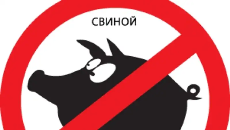 В Интернете появились фотожабы про свиной грипп