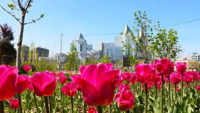 мероприятия в Алматы на 7 мая , фото - Новости Zakon.kz от 04.05.2022 09:15