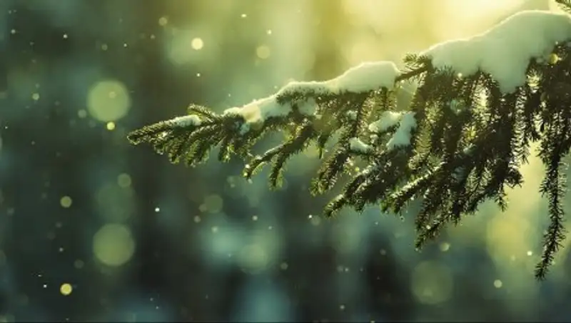 В первый день весны ожидаются осадки