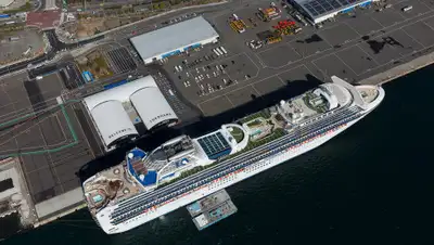 Wataru Kojo / AFLO / Global Look Press, фото - Новости Zakon.kz от 01.03.2020 22:07