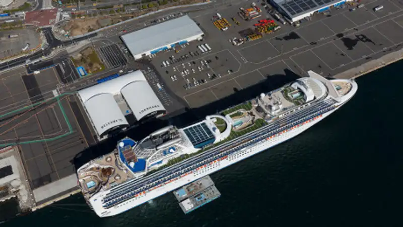 Япония завершила эвакуацию с коронавирусного лайнера