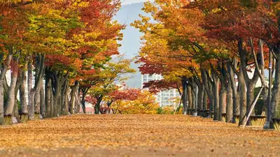 Какую погоду принесет антициклон в Казахстан 26 сентября , фото - Новости Zakon.kz от 25.09.2023 15:51