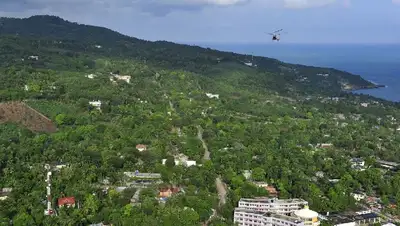 зелень, фото - Новости Zakon.kz от 29.10.2022 14:36