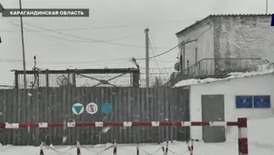 КТК, фото - Новости Zakon.kz от 22.02.2019 23:59