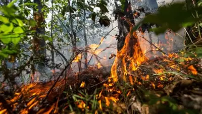 Zakon.kz, фото - Новости Zakon.kz от 30.03.2016 03:13