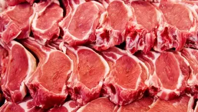 Zakon.kz, фото - Новости Zakon.kz от 18.03.2016 17:48