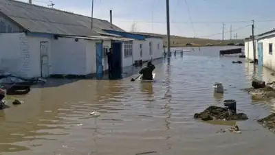 Zakon.kz, фото - Новости Zakon.kz от 20.05.2015 00:07