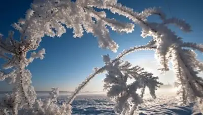 Zakon.kz, фото - Новости Zakon.kz от 17.11.2016 12:02