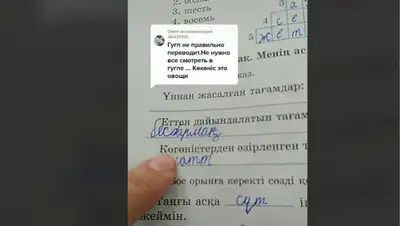 "Көкөніс" или "Көгөніс"? Эксперты ответили на обвинение об ошибке в тетради