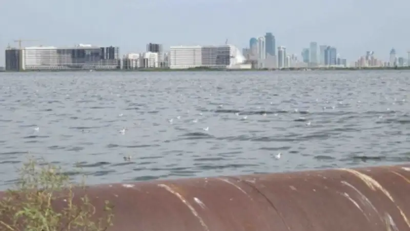 Столичный накопитель Талдыколь перенесут к 2018 году