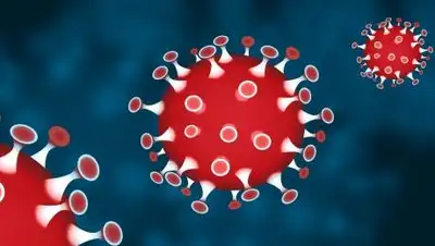 pixabay.com, фото - Новости Zakon.kz от 25.01.2021 19:21