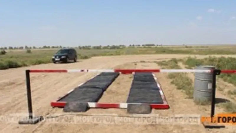 В сельских округах ЗКО продолжают выявлять оспу овец