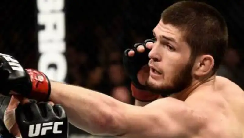 UFC объявил имена претендентов за чемпионский пояс Хабиба Нурмагомедова