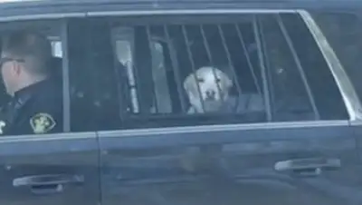 life.ru, фото - Новости Zakon.kz от 23.04.2018 01:59