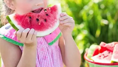 pixabay, фото - Новости Zakon.kz от 05.08.2021 07:35