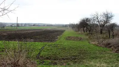 domik.ua, фото - Новости Zakon.kz от 08.11.2019 12:55