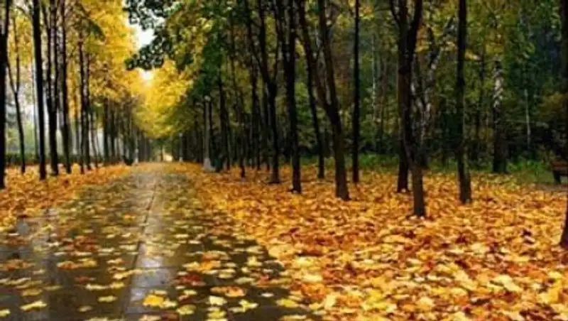 На большей части Казахстана в четверг ожидаются осадки