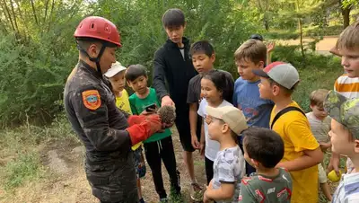 В Усть-Каменогорске спасатели помогли ежику выбраться из трубы, фото - Новости Zakon.kz от 30.07.2022 00:44