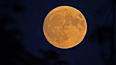 Астрономы напомнили о последнем суперлунии 2023 года, фото - Новости Zakon.kz от 29.09.2023 06:08