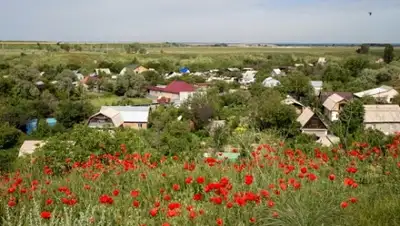 Zakon.kz, фото - Новости Zakon.kz от 08.04.2015 22:53