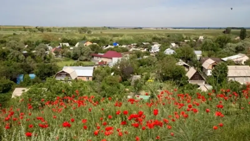 В Алматинской области полиция ведет проверку дачных массивов