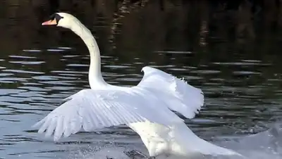 Zakon.kz, фото - Новости Zakon.kz от 26.12.2014 23:05