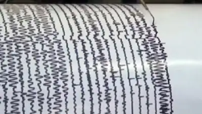 24.kz, фото - Новости Zakon.kz от 30.12.2018 10:48