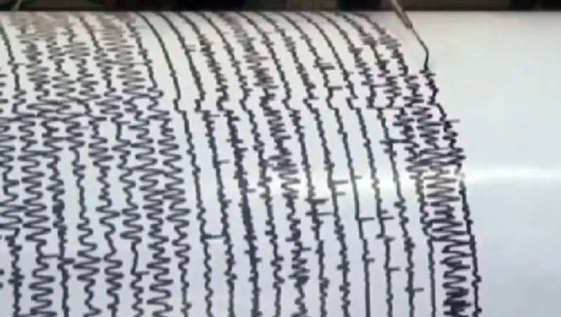 Казахстанские сейсмологи зафиксировали землетрясение в Афганистане